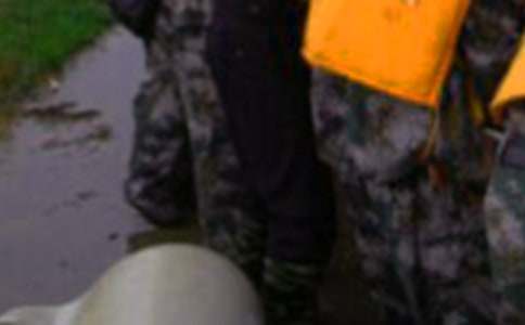 ������ֹ����ܽ�