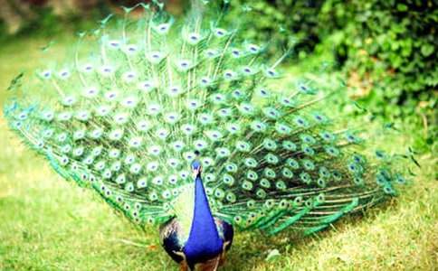 �йؿ�ȸ���������ʮƪ