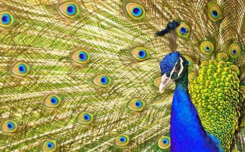 ��ȸ��������Ľ���ʮƪ