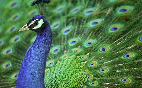 �йؿ�ȸ��������Ļ����ƪ