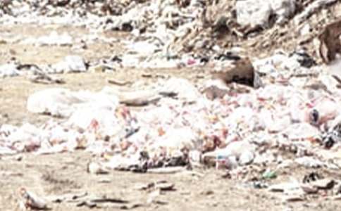 ������ǰ����[��ѡ]