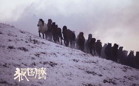 ����ͼ�ڡ��ۺ��ͨ��15ƪ