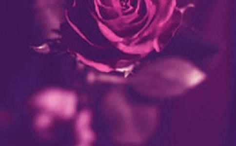 关于浪漫个性说说心语(精选30句)