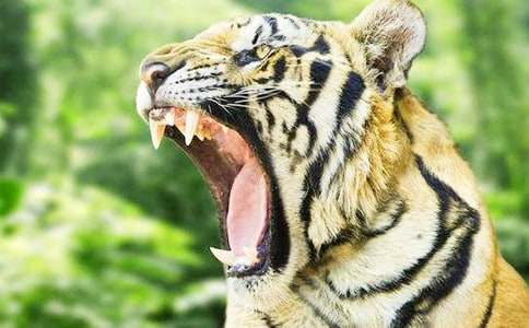 ��С�ϻ����ռǡ������13ƪ