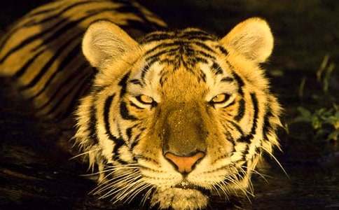 ���ϻ����Ľ̰�