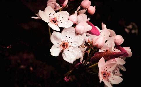 �滨�Ļ���