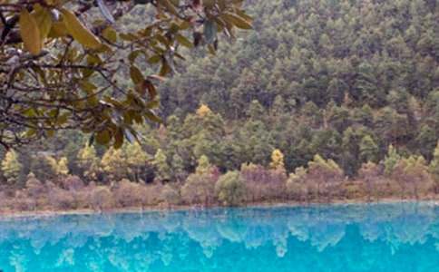 �������δ�(����15ƪ)