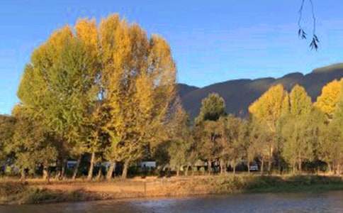 �����ųǵ��δʷ���