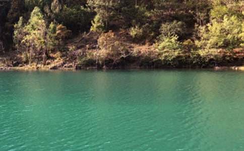 ���������ųǵ��δ�14ƪ