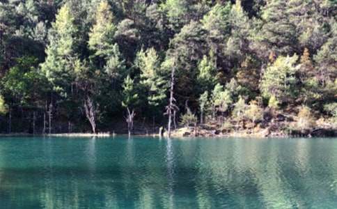 �����������δʣ���ѡ25ƪ��