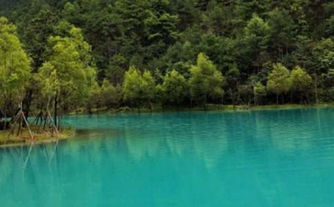 �������������ųǵĵ��δ�