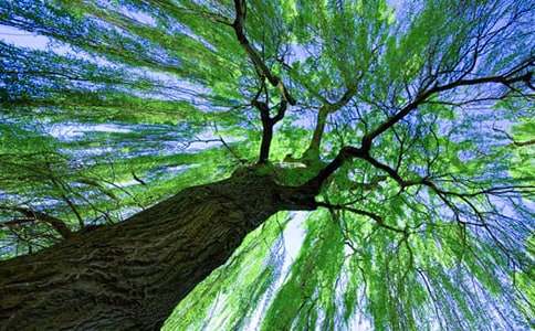 ��С������С�������̰�