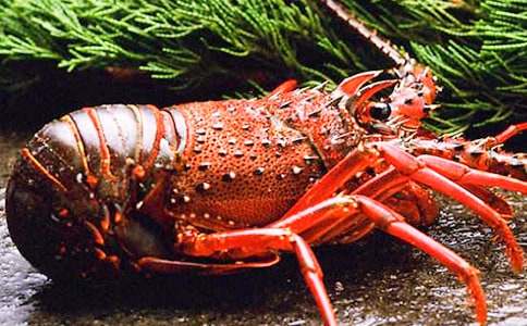 С��Ϻ�������