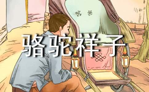 ���������ӡ��ۺ��ͨ��23ƪ