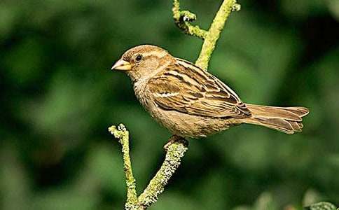 С��ȸ�̰�����6ƪ