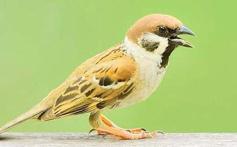 ׽��ȸ����[�ر�10ƪ]