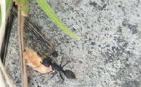 ��С���ϡ��̰�