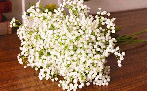 满天星的花语和传说故事