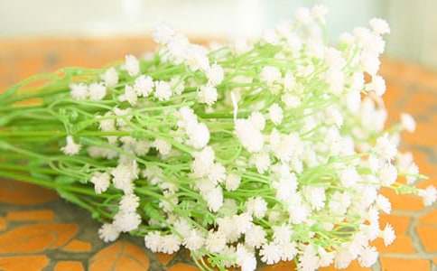 满天星的花语唯美句子