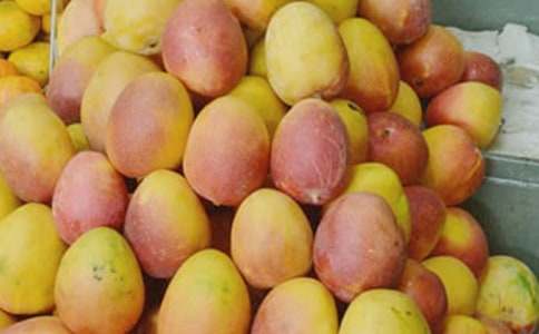 â�������Ļ���15ƪ