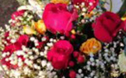 ��ɫõ��Ļ���