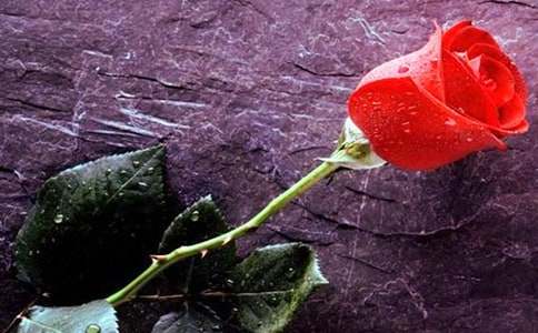 õ�廨�Ļ���