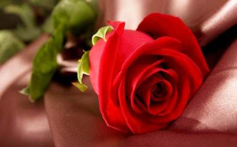 ��õ��Ļ���