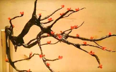 三角梅花语是什么意思