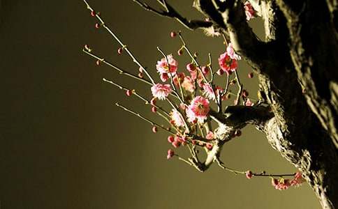 ÷����д����