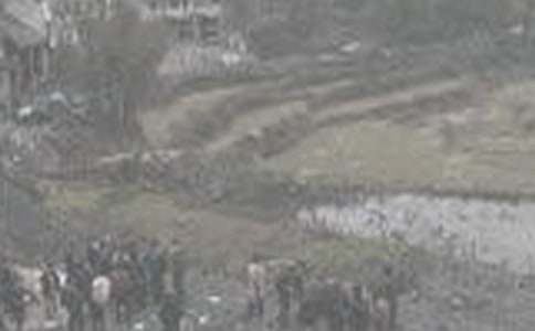 ú��󳤸�����ְ����(4ƪ)