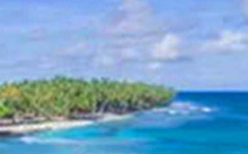 ����������Ȼ����������