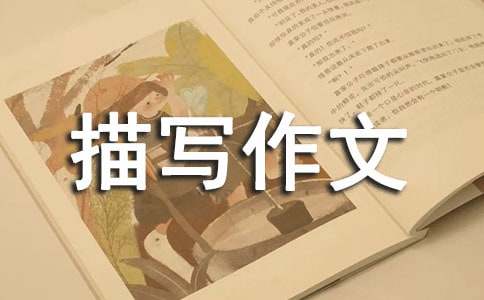 ʵ�õ�С����д���ĺϼ�6ƪ