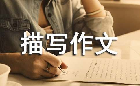 ����С����д���ľ�ƪ