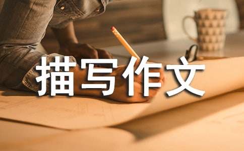 【热门】小鸡描写作文集合5篇