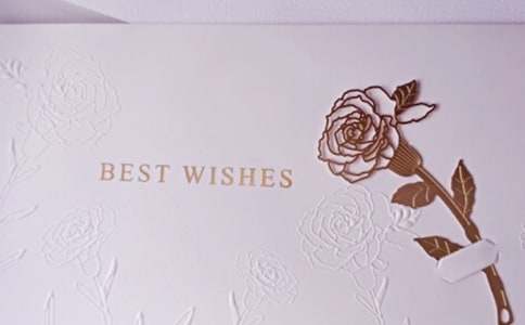 ����Ƭ������ѡ[15ƪ]