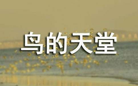 ���ȡ�������õ��δ�