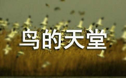 �����š�������õ��δ�