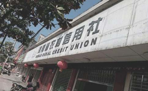 农村信用社年度工作总结(6篇)