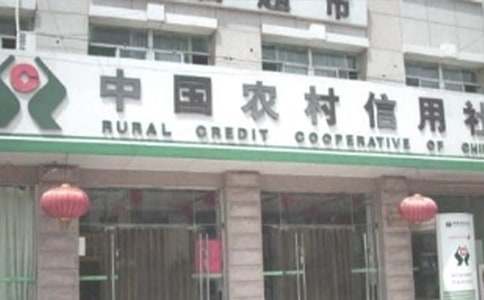 农村信用社主任述职报告7篇