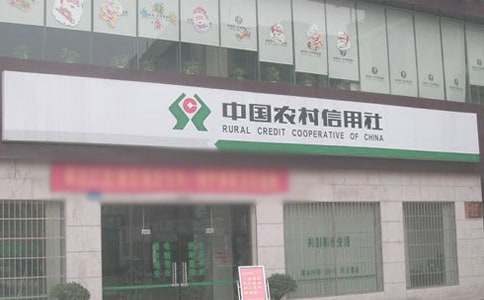 农村信用社述职报告最新