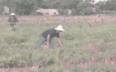 �����ڼҸ�ũ������ʵ������