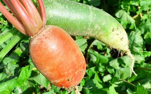 ũ���ֲ߻���[��ѡ15ƪ]