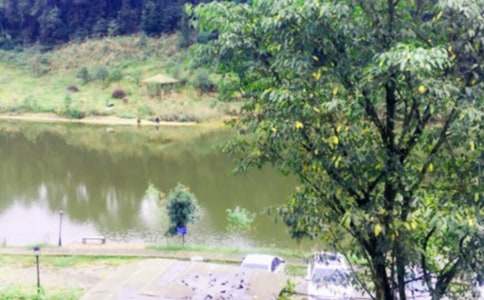 ũ����԰����