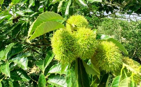 ũ���ֲ߻���15ƪ[����]