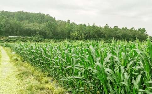 ũ���ֲ߻��鼯��15ƪ