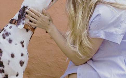 Ů�Ե�ְ������(15ƪ)