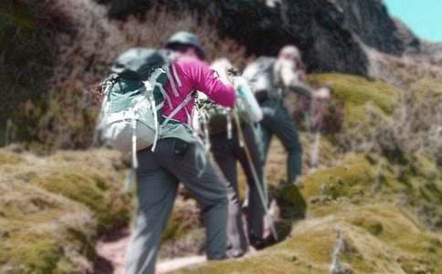 ��ѡ��ɽ�̰����ʮƪ