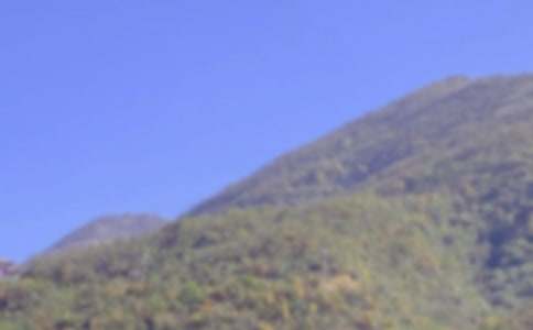 ��ɽ������߻�6ƪ