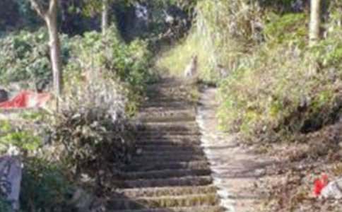 ��ѡ��ɽ�̰�������ƪ