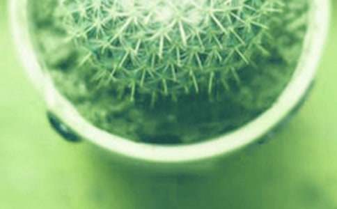 С�����Ļ��Ｐ���Լ�������